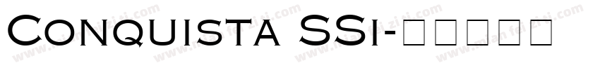 Conquista SSi字体转换